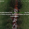 Desenvolvimento da Presença Digital da Fazenda Guadalupé (Eorbital Brasil)
