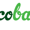 Desenvolvimento do Site Ecobags Embalagens (WS Labs)